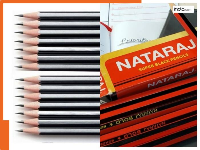 Natraj image  1