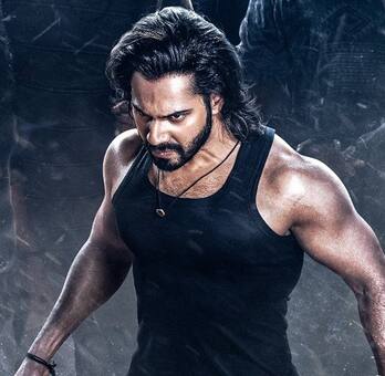 Baby John cast fees: Know Varun Dhawan, Keerthy Suresh, Salman Khan, Wamiqa Gabbi's whopping salaries