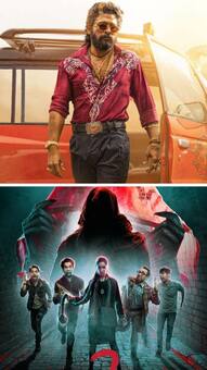 Pushpa 2 to HanuMan, top 10 highest grossing films of 2024