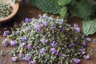 The Amazing Health Benefits Of Catnip You Never Knew About