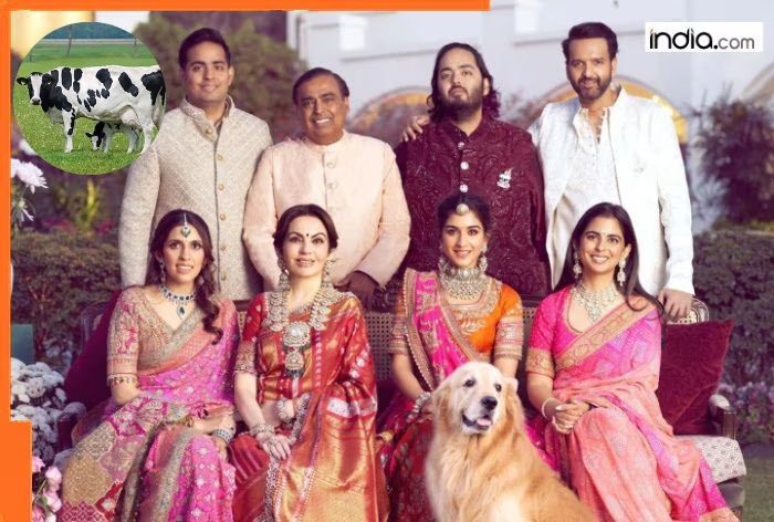 Nita Ambani gave Rs 451 crore necklace to ‘bahu’ Shloka Ambani, Mukesh Ambani buys Rs 240 crore private jet for Nita Ambani, but some gifts of Ambanis are…