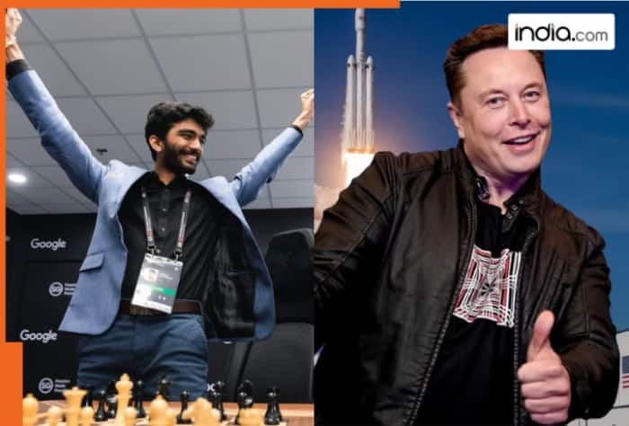Elon Musk congratulates D Gukesh, Elon Musk congratulates D Gukesh news, Elon Musk congratulates D Gukesh latest news, Elon Musk congratulates D Gukesh news updates, Elon Musk congratulates D Gukesh latest news updates, Elon Musk congratulates D Gukesh current news, Elon Musk congratulates D Gukesh current news updates, Elon Musk, D Gukesh, sports news