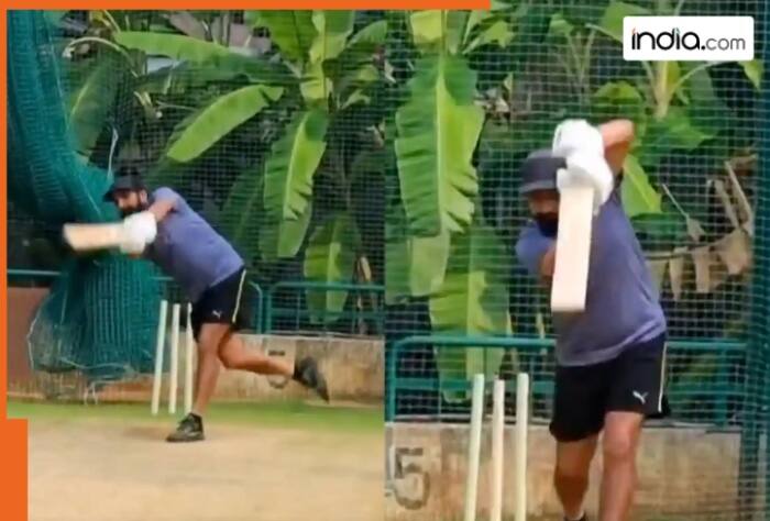 Mohammed Shami, Mohammed Shami news, Mohammed Shami latest news, Mohammed Shami current news, India vs Australia, IND vs AUS, Mohammed Shami in BGT 2024-25, Mohammed Shami in Border-Gavaskar Trophy 2024-25, cricket, cricket news, sports news