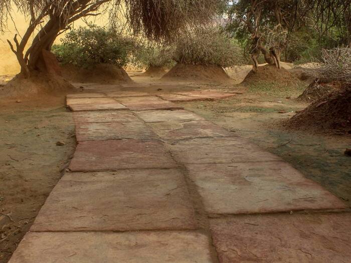 Nidhivan Vrindavan  3