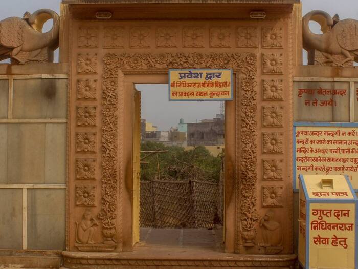 Nidhivan Vrindavan  6