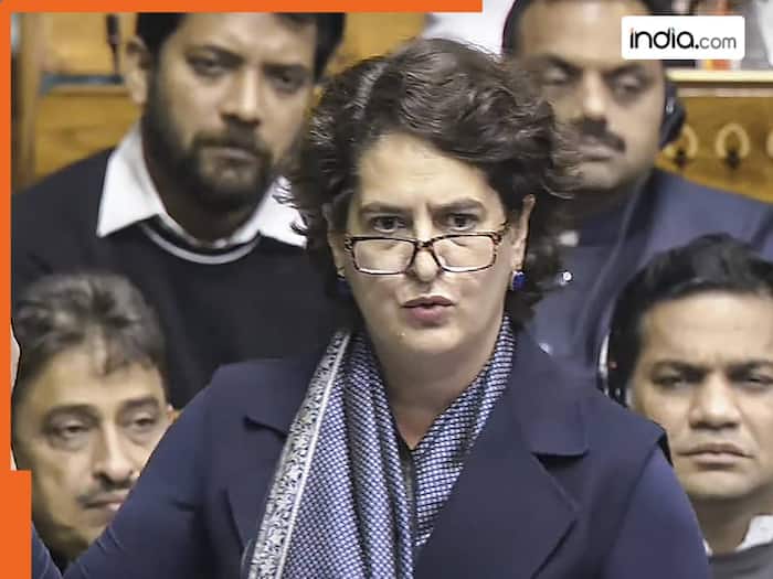'There is better way to...': Priyanka Gandhi's big statement after Supreme Court's order on stray dogs