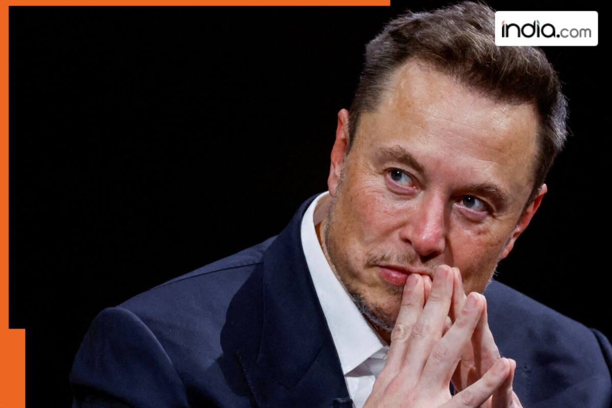 Elon Musk merges cryptocurrency with history on X, and the result is Kekius  Maximus, here is what it means