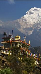 9 countries with largest vegetarian population in 2024