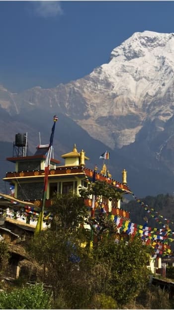 9 countries with largest vegetarian population in 2024