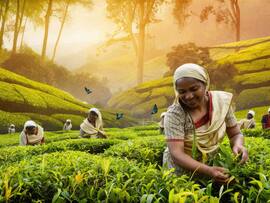 Explore Coorg With These 5 Essential Tips For A Memorable Visit