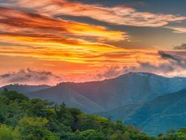 First Time In Dharamsala? Don’t Miss These 5 Essential Travel Tips