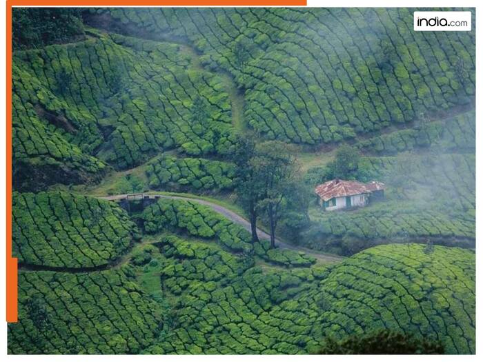 Munnar 1200