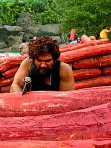 करोड़ों के भाव में बिकता है लाल चंदन, जानें कीमत