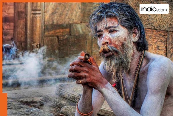 What happens to the body of Aghori or Naga Sadhu after their death? China, US SHOCKED by THIS tradition of India