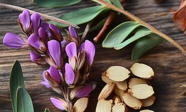 Astragalus: The Anti-Aging Herb You Need To Know About