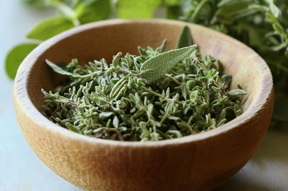 10 Incredible Health Benefits Of Summer Savory You Never Knew