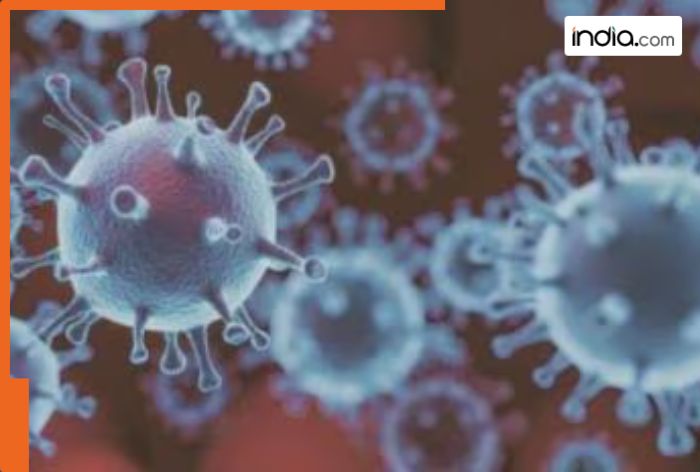 India Reports First Case of HMPV Virus in…, case reported from…, Govt asks people to stay vigilant