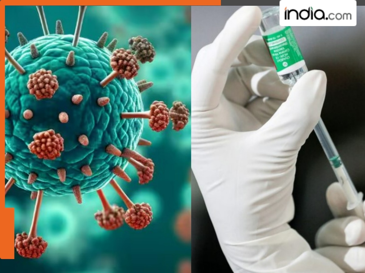 HMPV Virus in India: The cost of HMPV testing in India starts at Rs…, is it more than coronavirus test?