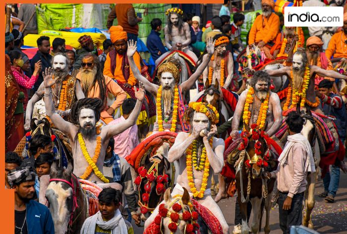 Maha Kumbh 2025: When and where the next Kumbh Mela be held? know its significance