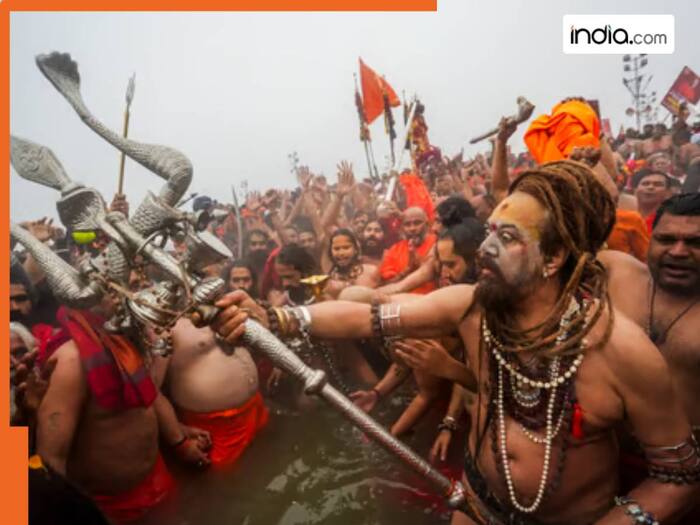 Naga Sadhu