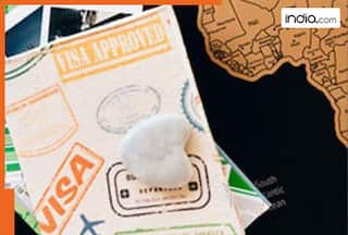 World's most richest persons are changing their countries due to..., their favourite nations are...