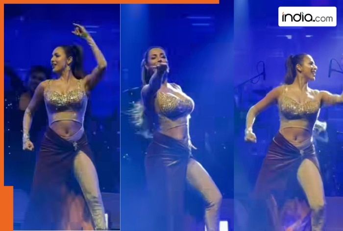 Malaika Arora sets the stage on fire with hot and sizzling performances of ‘Munni Badnaam’ and ‘Chaiyya Chaiyya’, watch viral video