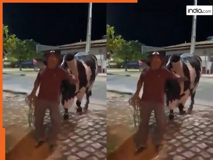 Viral Video Today