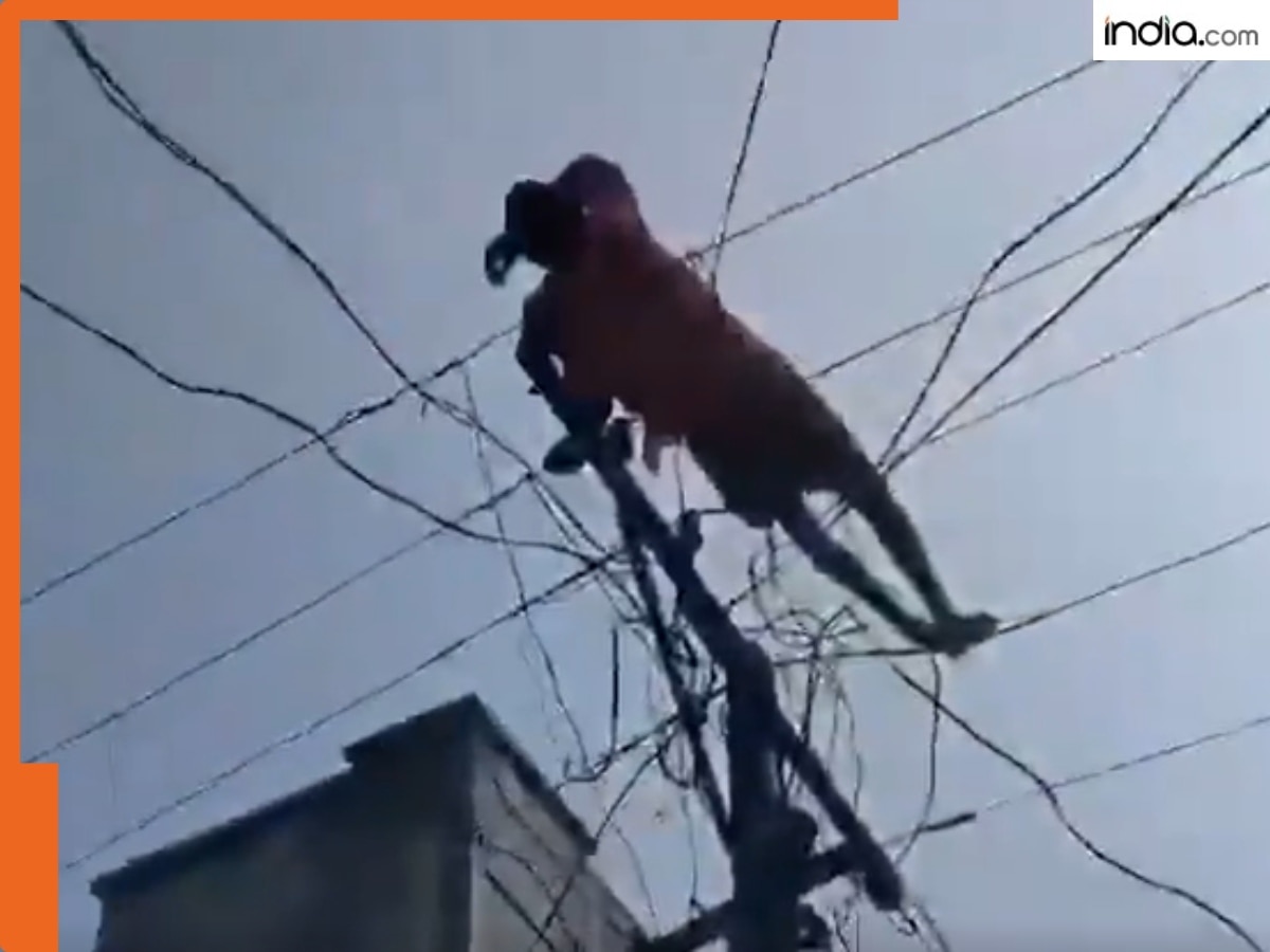Video: शराब के नशे में पहले  बिजली के पोल पर चढ़ा शख्स, फिर तारों पर सो गया, पूरे इलाके में हड़कंप मच गया, देखिए