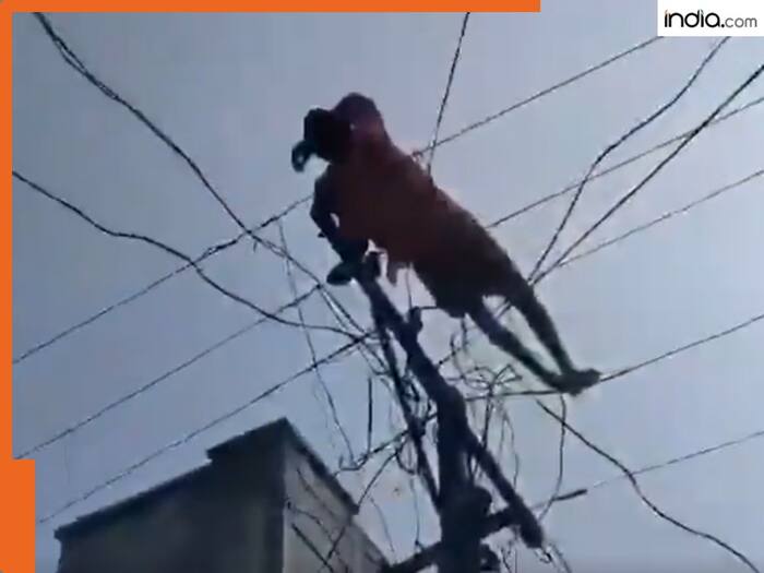 (शराब के नशे में पहले  बिजली के पोल पर चढ़ा शख्स, फिर तारों पर सो गया)