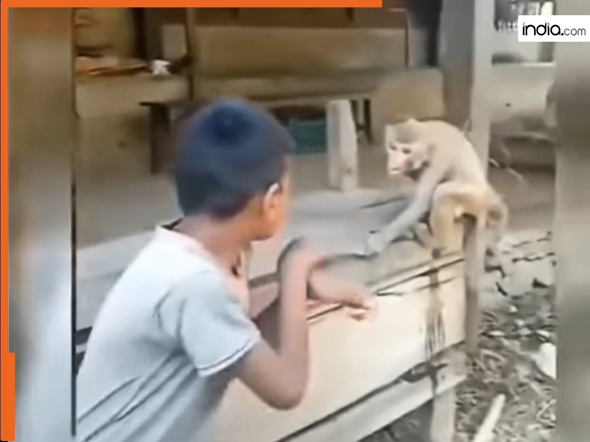 Bandar Ka Video: बंदर से कराटे लड़ने गया था लड़का, मगर जो हुआ बेचारे को नानी याद आ गई | देखें वीडियो
