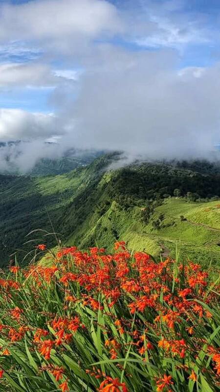 Offbeat Villages Visit Near Mokokchung: Hidden Gems Await