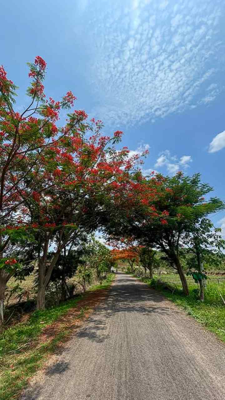 Uncover the Hidden Gems of Telangana: A Quick Guide to Finding Your Dream House Property