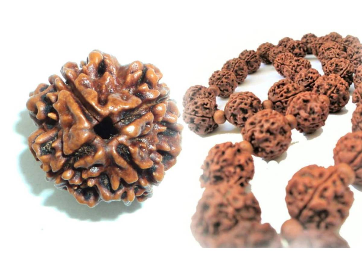 Kodo Raksha Rudraksha For Kaal Sarp Dosh: कालसर्प दोष से मुक्ति दिलाता है ये ...
