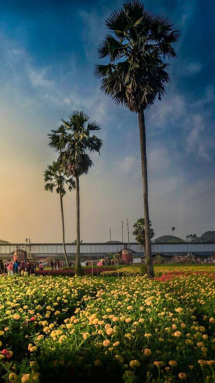 Spring In Assam 8 Must-Visit Locations Near Assam For Every Nature Enthusiast