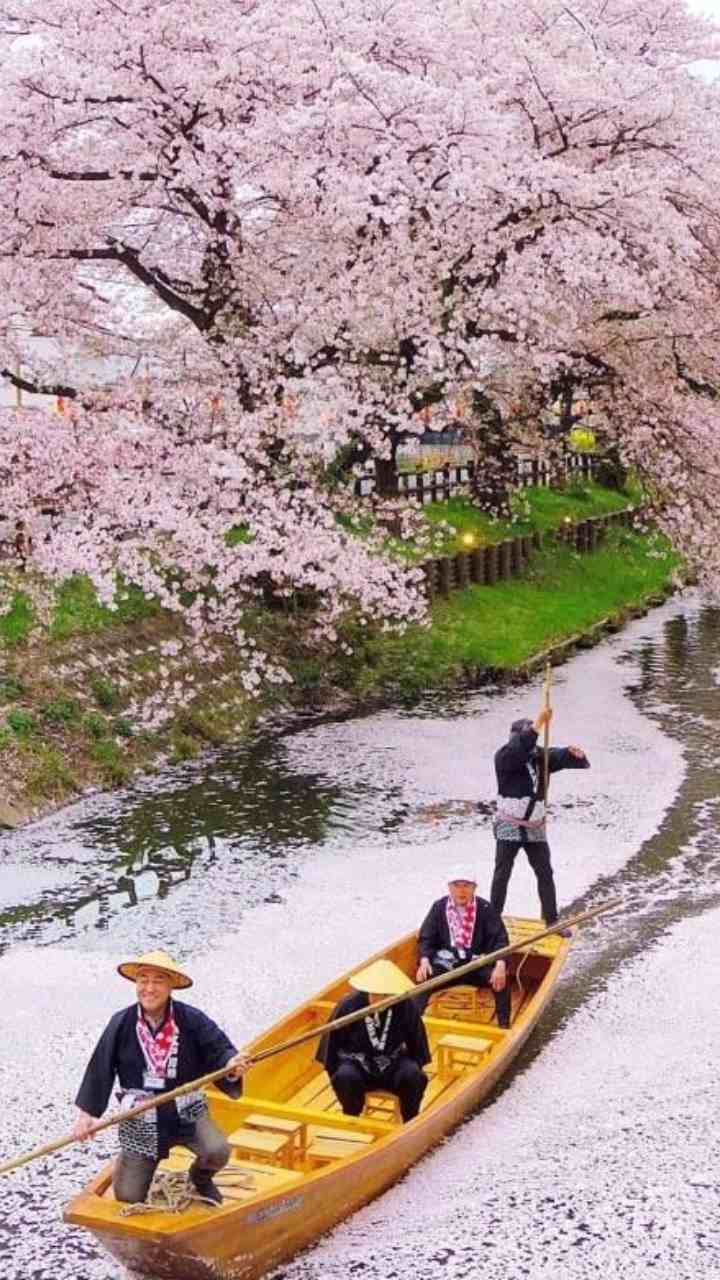 Holidays In Spring 7 Spring Festivals To Celebrate Around The World