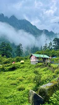 7 Indian Hill Station That Turn Scenic During Spring