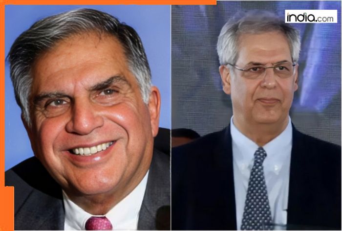 How 34-lakh crore Tata business empire operates? Know difference