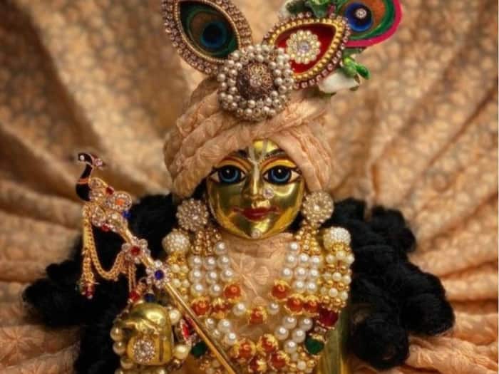 Laddu Gopal  3