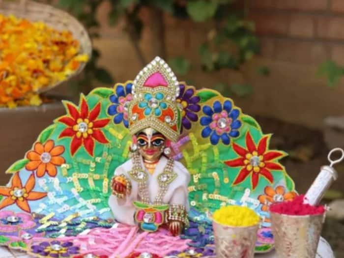 Laddu Gopal Holi  4