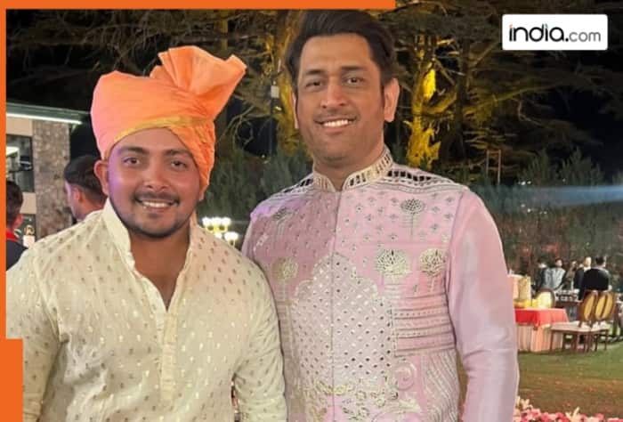 Prithvi Shaw, IPL, IPL 2025, IPL 2025 Mega Auction, Shashank Singh, Ranji Trophy, Vijay Hazare Trophy, cricket, cricket news, latest cricket news,