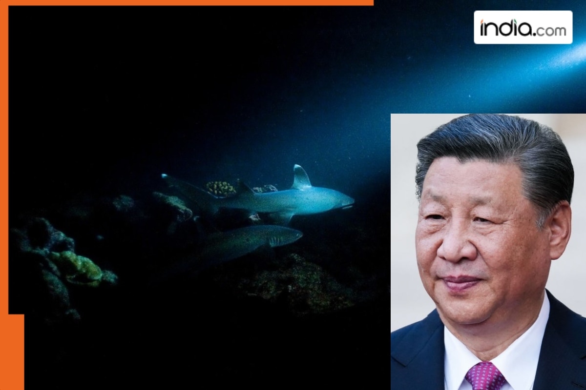 China building ‘space station’ deep in the sea; wants to access JACKPOT beneath sea, huge reserves of…, Beijing plans to…