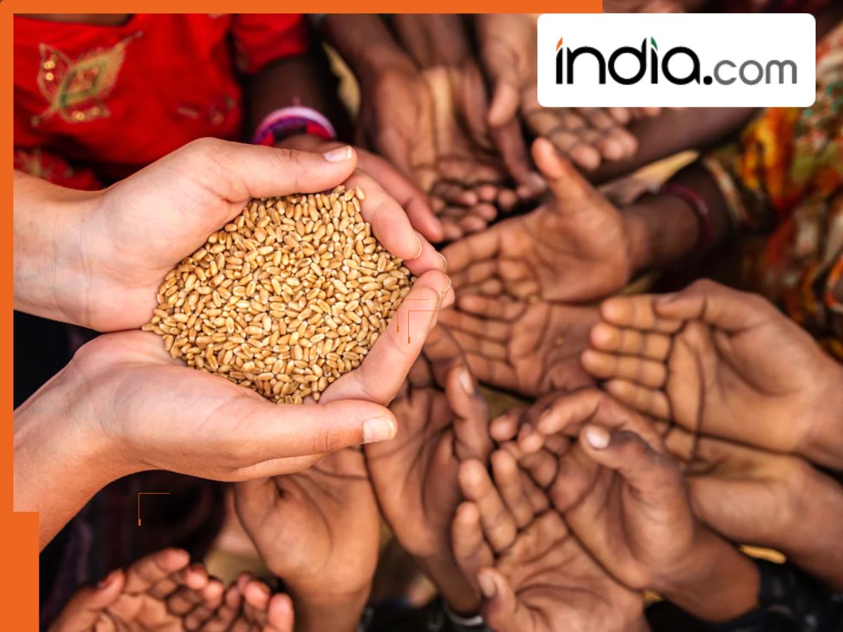 India Raju Ration Ration Card कितने तरह के होते हैं, किस रंग वाले को मिलता है क्या-क्या फायदा