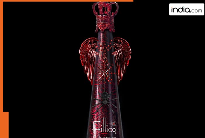 World's most expensive bottled water is worth Rs 1,16,000 per litre; the high price is due to..., the name of the brand is.... 2 Fillico Jewellery Water