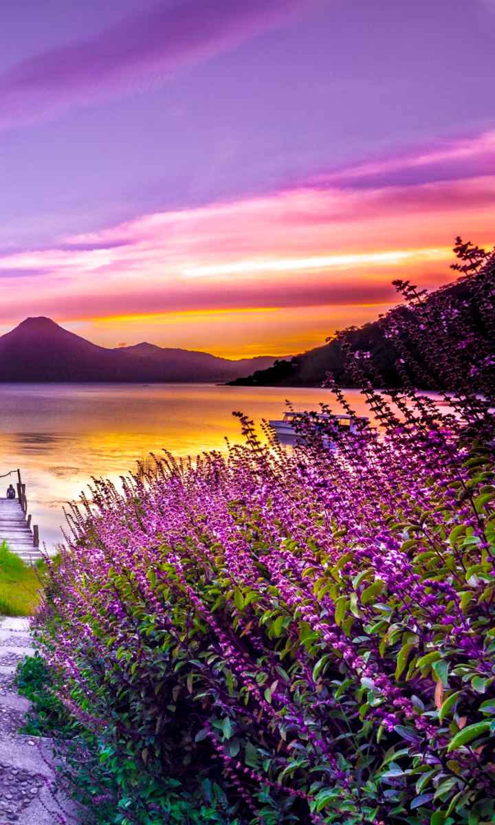 7 Most Stunning Flower Fields Across The Globe