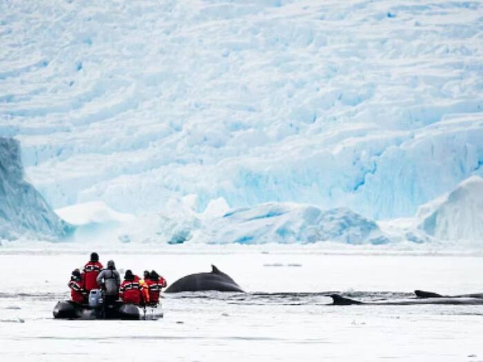 Image   2025 03 10T180735 162