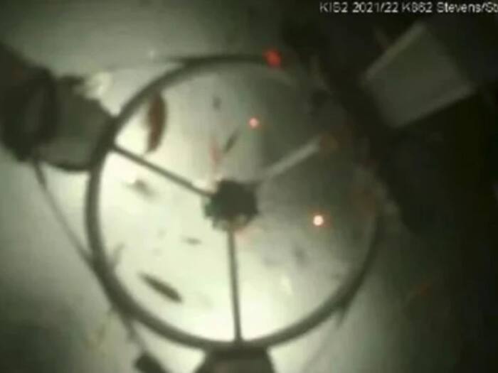 Image   2025 03 10T180807 364