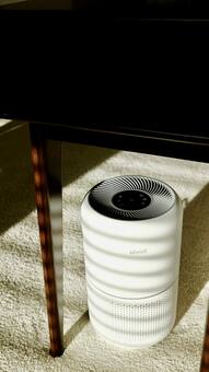 Top Air Purifiers for a Cleaner, Healthier Home in 2025