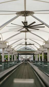 Top Energy-Efficient BLDC Ceiling Fans for a Cooler, Smarter Home