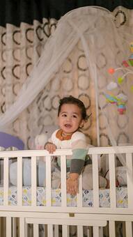 Best Foldable Mosquito Nets for Peaceful Sleep!