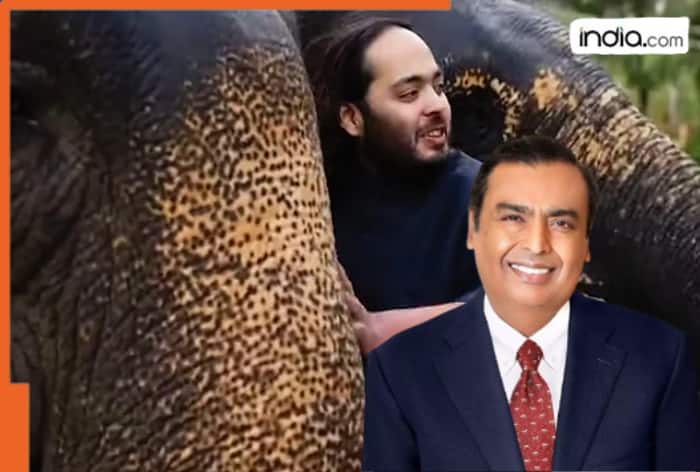 Mukesh Ambani, Nita Ambani's son spends a massive sum of Rs..., money is used for... 2 Anant Ambani’s Vantara: Mukesh Ambani, Nita Ambani's son spends a massive sum of Rs..., money is used for...